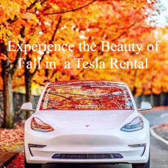 Tesla Rentals Newburyport Ma