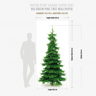 Big Green Pine Tree Wallpaper