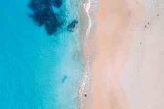 Sydney Public Domain Image Nature Summer