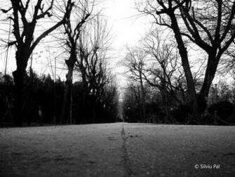 Lonely Sad Wallpaper And Street By