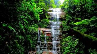 Wallpaper Waterfall Trees Grass Dinosaur Full HD 1080p