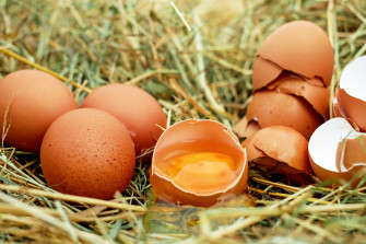 Wallpaper Id Egg Chicken Eggs Raw Eggshell Yolk
