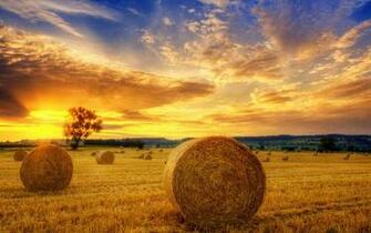 Wallpaper Windows Xp Desktop