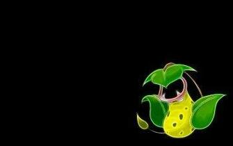 Victreebel Pok Mon HD Wallpaper Background