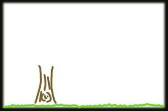 Weather Forecast Background