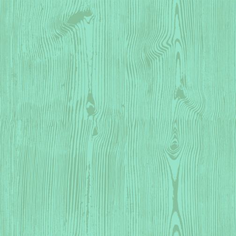 Mint Green Background