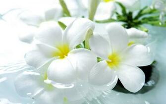 Spa Wallpaper Pictures