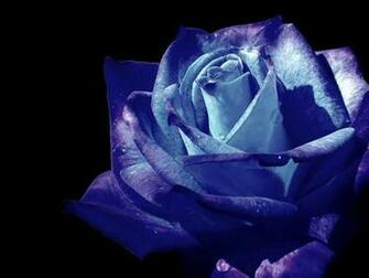 Windows Blue Wallpaper 3d Nature