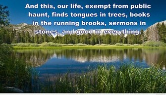 Wallpaper Nature Quotes And Image HD