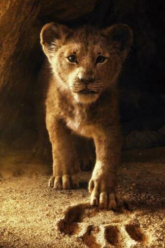 The Lion King Movie Poster Wallpaper HD Movies 4k