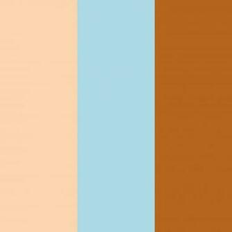 Light Colored Background Apricot
