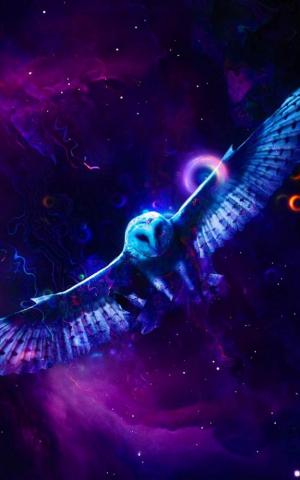 Neon Owl 4k Ultra HD Mobile Wallpaper