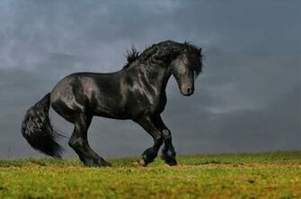 Classic Epic Front Long Hair Jumping Mind Blowing