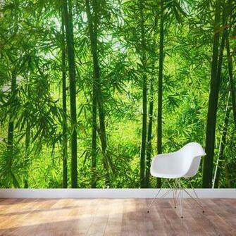 Bamboo Forest Wall Mural