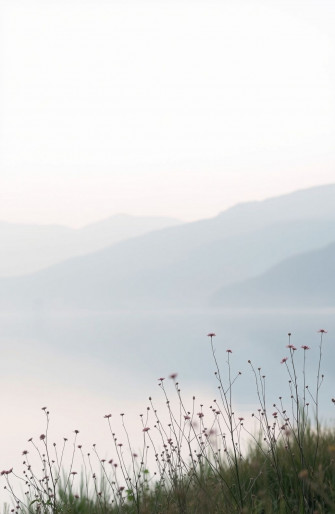 Be Still Wallpaper