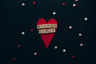 Stupid Wallpaper