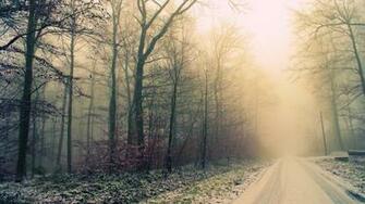 Foggy Weather Desktop HD Wallpaper