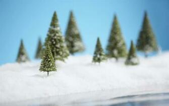 Scene With A Christmas Tree Wallpaper