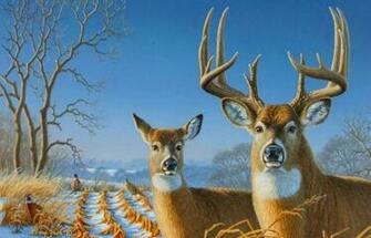 Deer Desktop Wallpaper