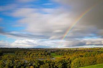 High Definition Photo Of Ireland Autumn Trees Imagebank