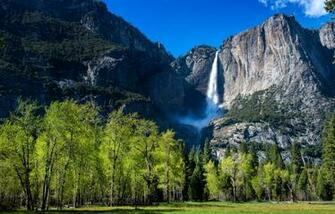 Yosemite In Spring Collection