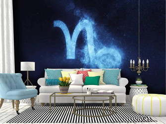 Amazon Self Adhesive Wallpaper Roll Paper Capricorn Zodiac