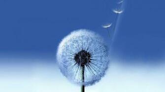Cool Background Samsung Galaxy HD Wallpaper Of