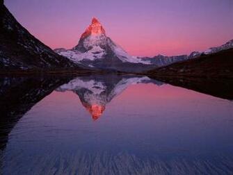 Natural Beauty By Cheryl Jones