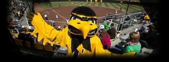 Displaying Image For Hawkeye Football Wallpaper