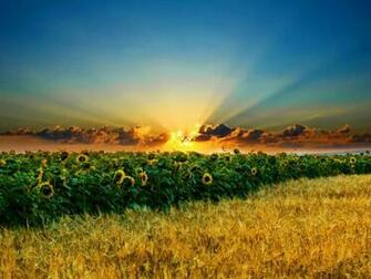 Wallpaper Beautiful Sunrise Background Desktop