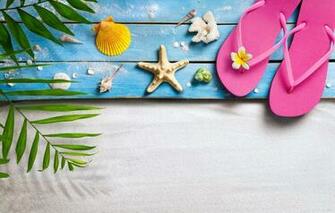 Wallpaper Beach Summer Stay Shell Sand Seashells