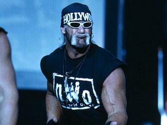 Hollywood Hulk Hogan Kingtzk