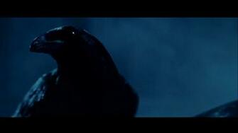 The Raven Computer Wallpaper Desktop Background Id