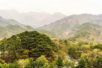 Wallpaper North Korea Nature Mountains Scenery Trees