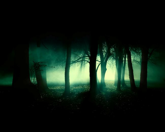 Dennis Elliott On Env Research Dark Forest