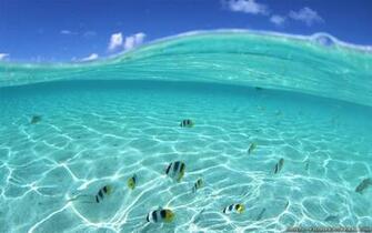 Ocean Underwater Wallpaper Widescreen The Art Mad