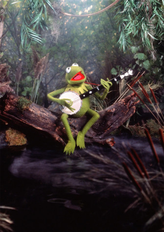 Kermit The Frog Wallpaper