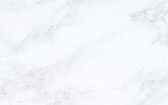 White Background Image Wallpaper