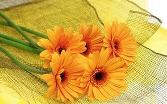 Lovely Orange Flowers Wallpaper By Slavasan Lynam