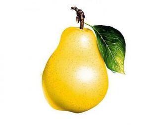 Pear Wallpaper