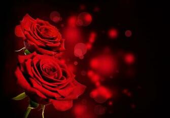 Black Background Red Roses Gallery Yopriceville High