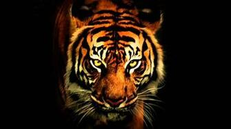 Eyes Background Wallpaper Gallery