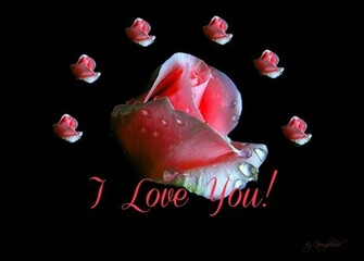 Flower I Love You Wallpaper Background Image Art