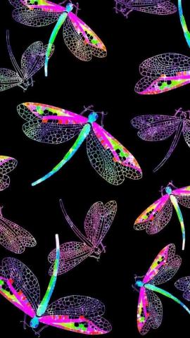 Vibrant Dragonflies Made By Me TakinggreatpicswithaniPhone