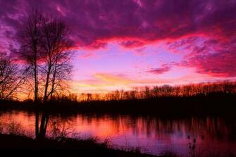 Willamette River Sunset No By Greglief