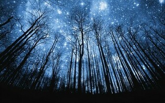 Weekly Wallpaper Enchant Your Desktop With These Starry Night Image