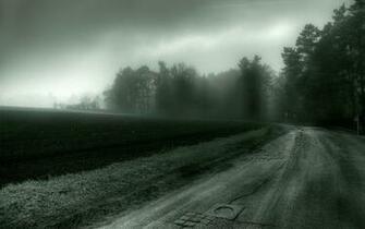 Gloomy Weather X Nature Photography Miriadna