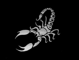 Scorpion HD Wallpaper Pulse