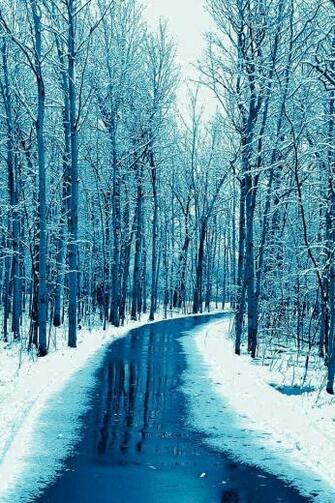Forest Road Wallpaper Snow Winter iPhone In