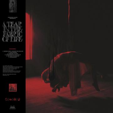 A Tear In The Fabric Of Life Knocked Loose Pure Noise Records